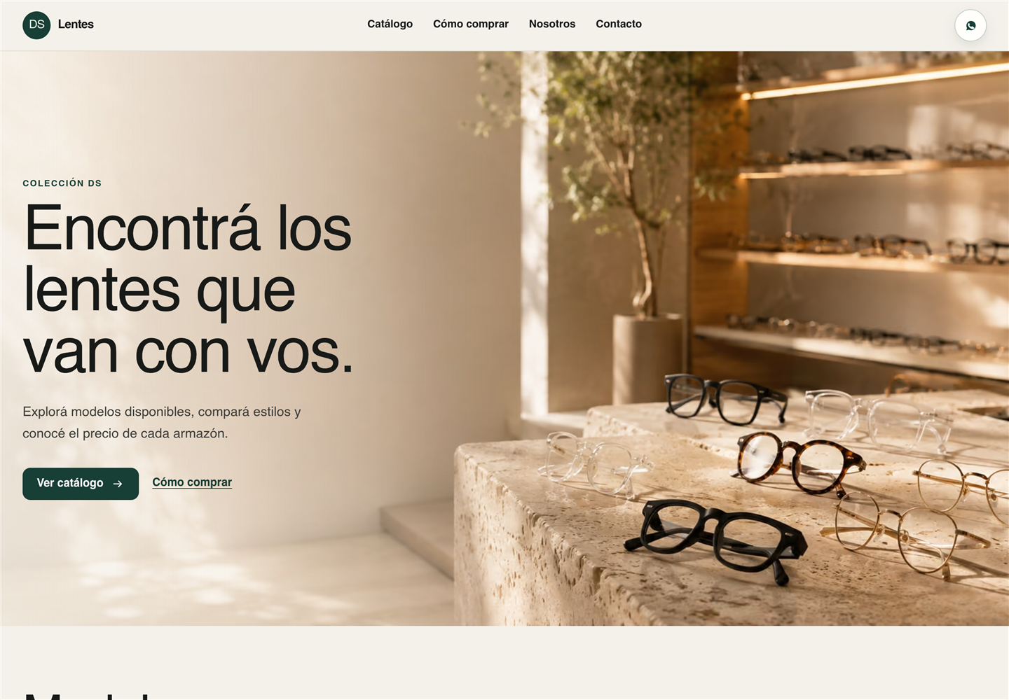 Inicio del sitio web de DS Lentes